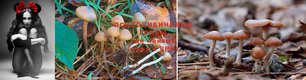 синтетический гашиш Алексин