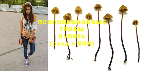 синтетический гашиш Алексин