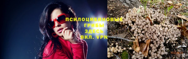 синтетический гашиш Алексин
