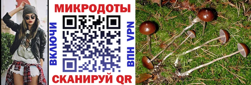 Псилоцибиновые грибы мухоморы kraken зеркало Суровикино